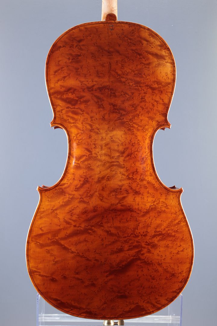 Leonhardt Rainer W. - Mittenwald Anno 2025 - Guadagnini - wild birds-eye - C-426